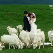 莫奈庄园-花间幻梦