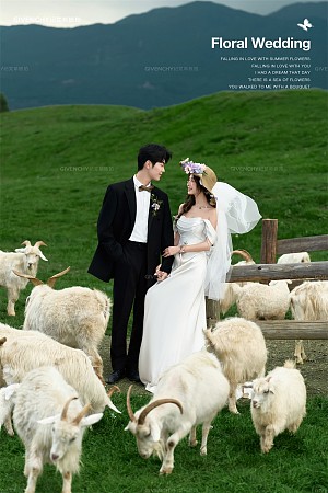 莫奈庄园-花间幻梦