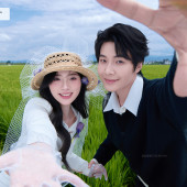 向阳溪麦田-签收浪漫