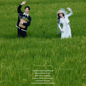 向阳溪麦田-签收浪漫