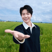 向阳溪麦田-签收浪漫