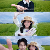 向阳溪麦田-签收浪漫