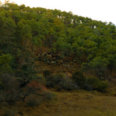 山野札记-丽江婚前影像