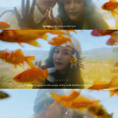 见山小院-丽江婚前影像