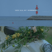 环游海岛日记-三亚婚前影像