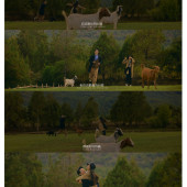 悠长假日-丽江婚前影像