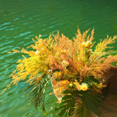 姊妹湖-丽江婚前影像