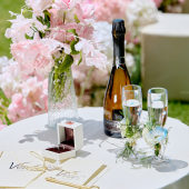 王先生&吴小姐 三亚