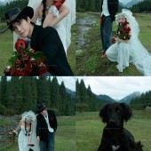 恰西公园-云杉絮语