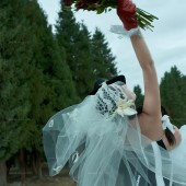 恰西公园-云杉絮语