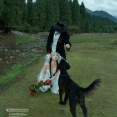 恰西公园-云杉絮语