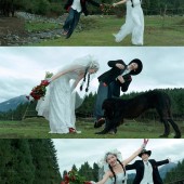 恰西公园-云杉絮语