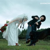 恰西公园-云杉絮语