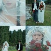 恰西公园-云杉絮语