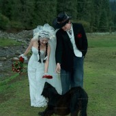 恰西公园-云杉絮语