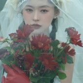 恰西公园-云杉絮语