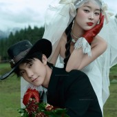 恰西公园-云杉絮语