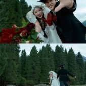 恰西公园-云杉絮语