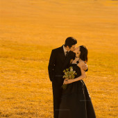 赛里木湖-天山牧歌