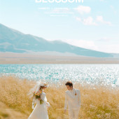 赛里木湖-湖畔芦苇