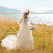 赛里木湖-湖畔芦苇