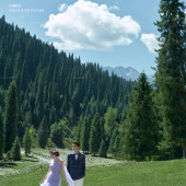 库尔德宁-林深见卿