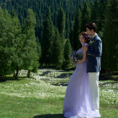 库尔德宁-林深见卿