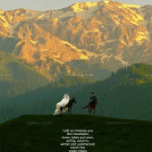 果子沟-熠熠金山