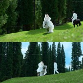 库尔德宁-牧云时分