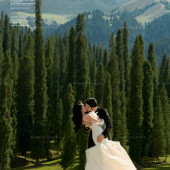 库尔德宁-云杉树下