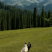 库尔德宁-云杉树下