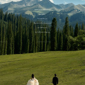 库尔德宁-云杉树下