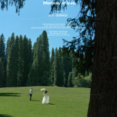 库尔德宁-森林晴空