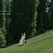 库尔德宁-森林晴空