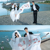 海东码头-海鸥日记