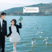 海东码头-海鸥日记