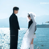 海东码头-海鸥日记