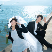 海东码头-海鸥日记