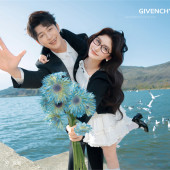 海东码头-海鸥日记