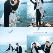 海东码头-海鸥日记