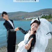 海东码头-海鸥日记