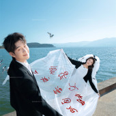 海东码头-海鸥日记