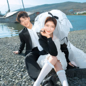 海东码头-海鸥日记