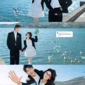 海东码头-海鸥日记