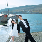 海东码头-海鸥日记