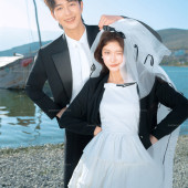 海东码头-海鸥日记