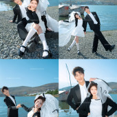 海东码头-海鸥日记