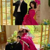 半山半岛-紫色浪漫