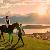 理想邦-骏马疾驰