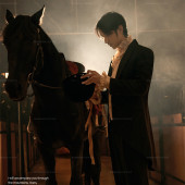 理想邦-骏马疾驰